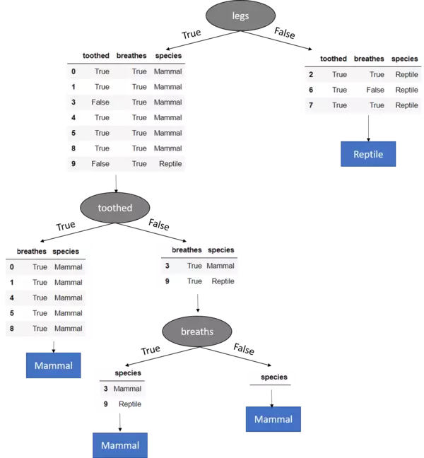 Completed Decision Tree